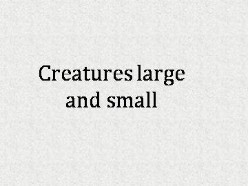 Creatures large and small_课件1