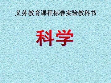 3.米饭、淀粉和碘酒的变化