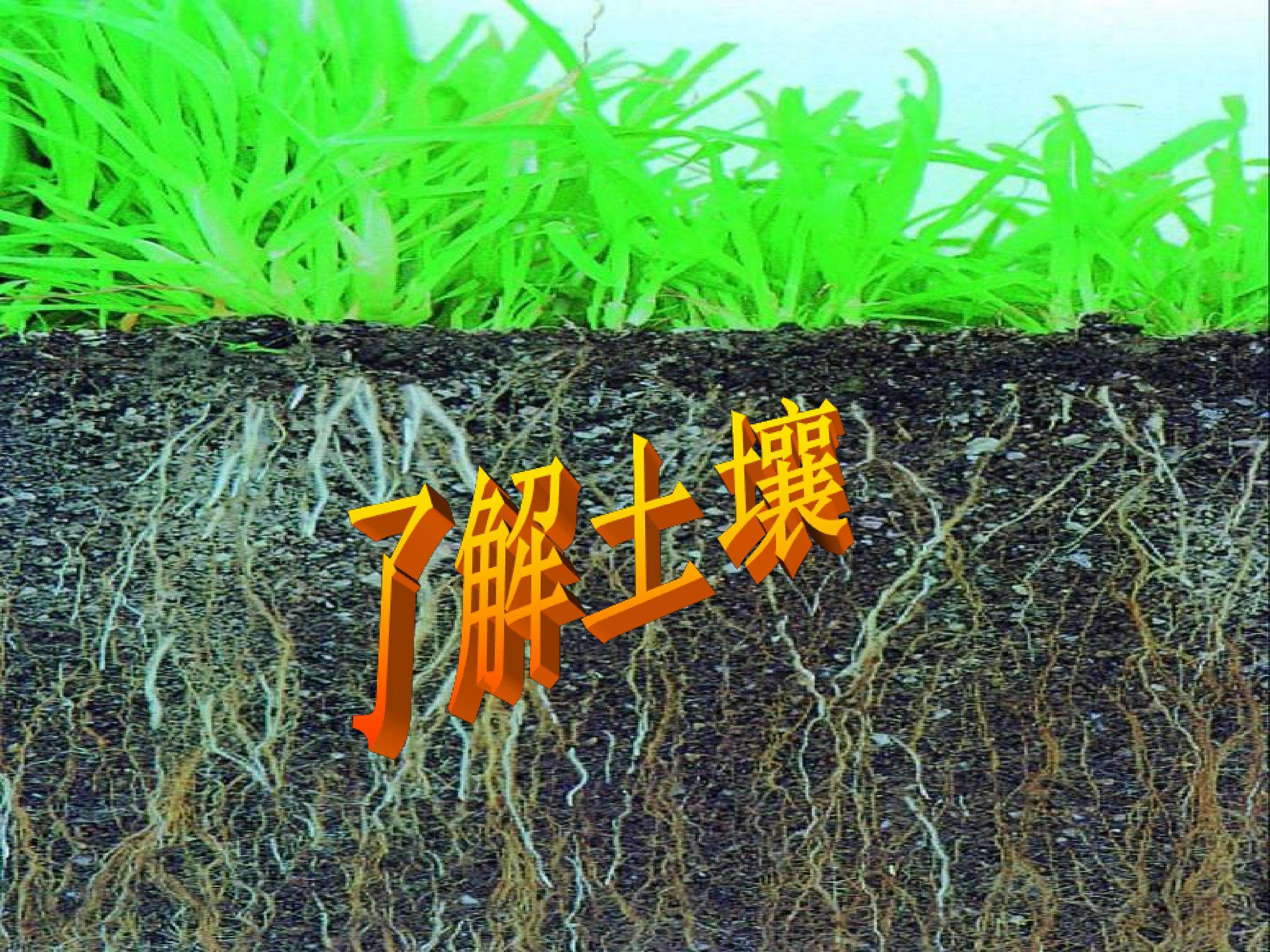 了解土壤_课件1