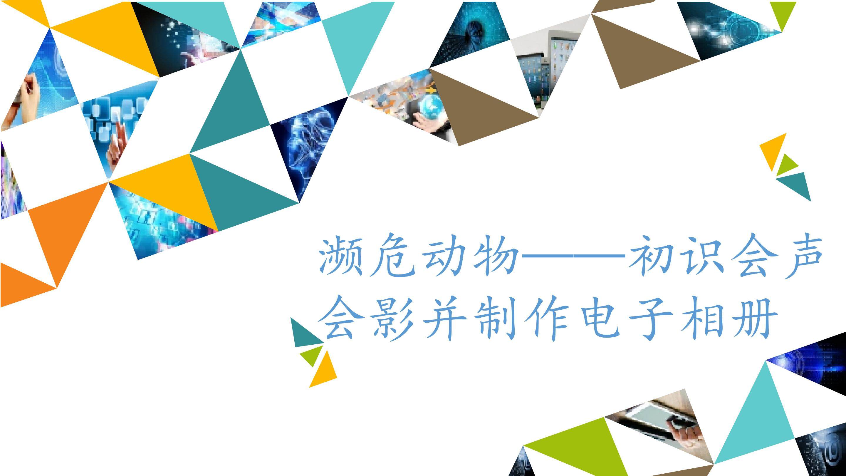 濒危动物——初识会声会影并制作电子相册_课件1