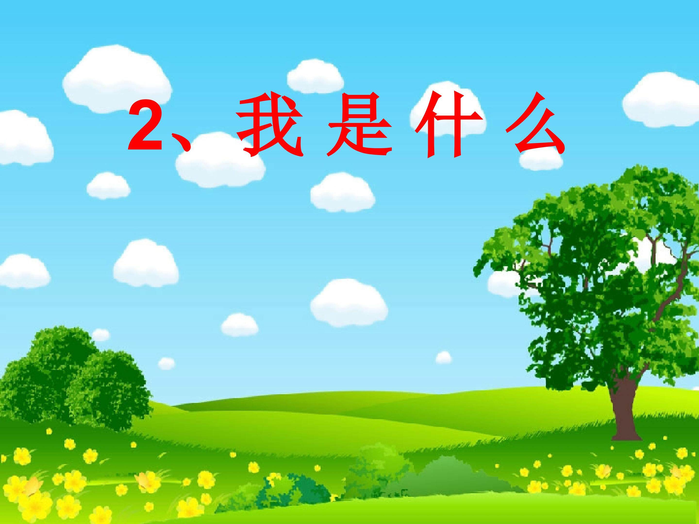 我是什么