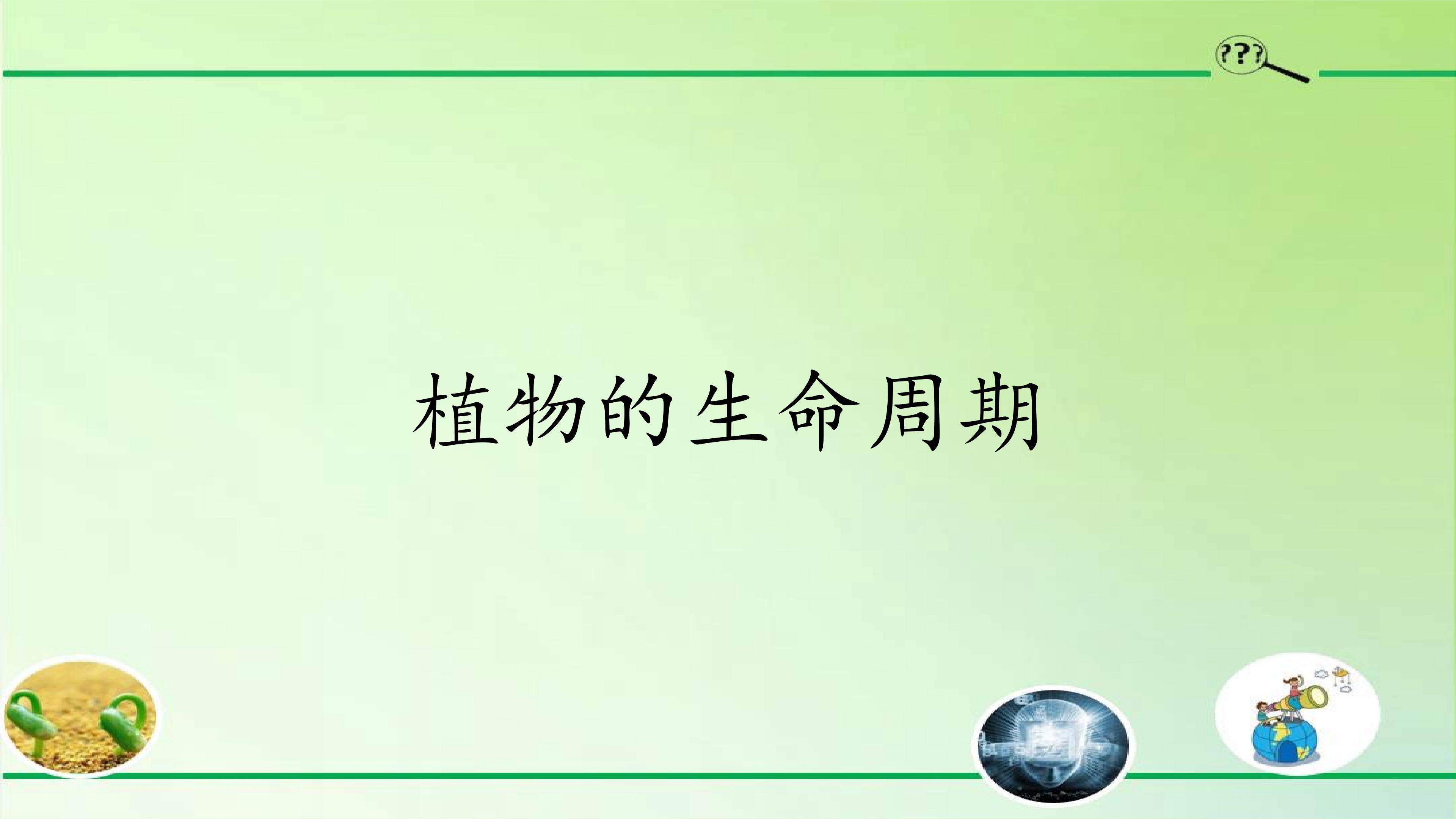 植物的生命周期
