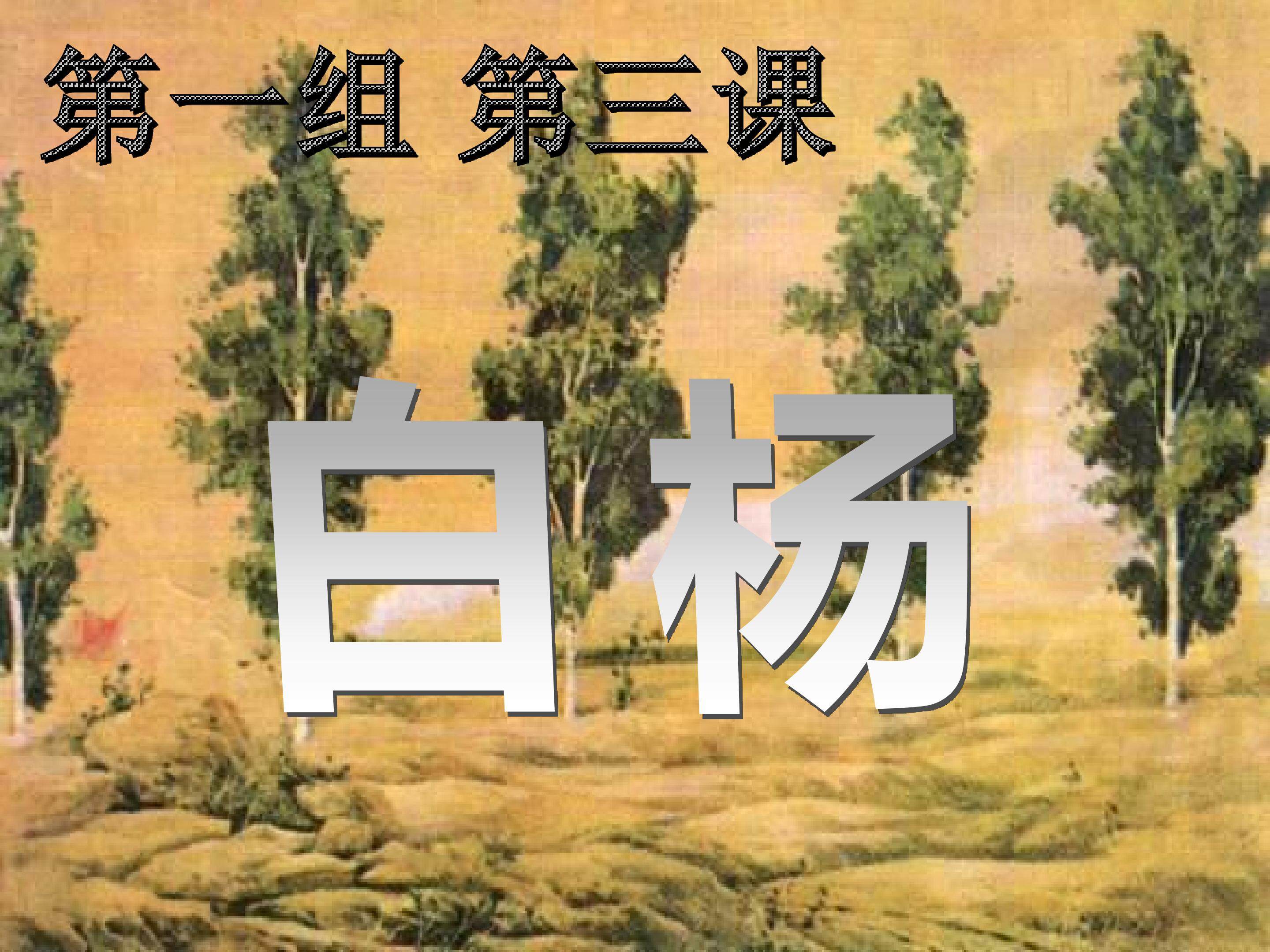 白杨