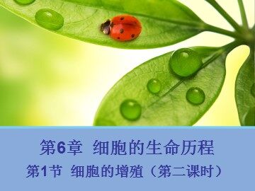 第1节  细胞的增殖