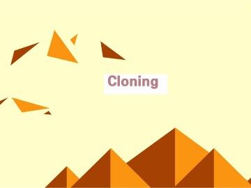 Cloning_课件4