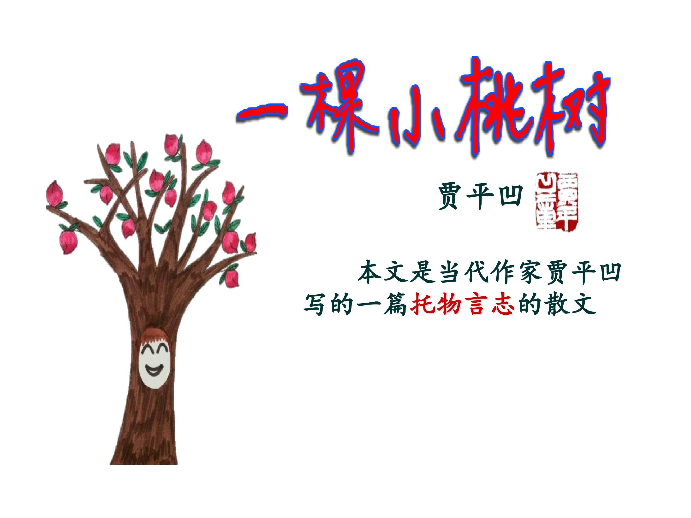 一棵小桃树