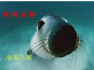 人的生殖
