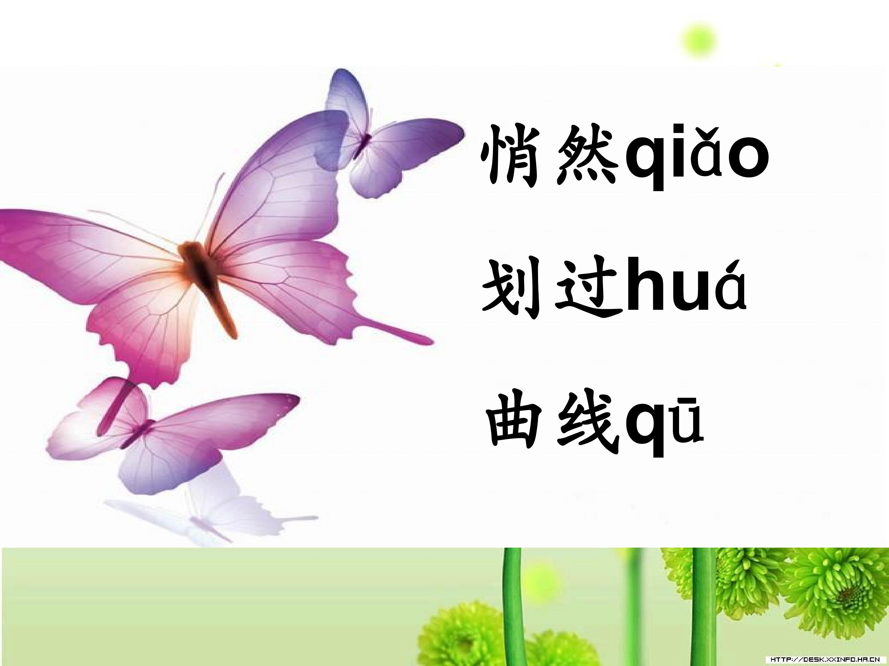 16.jpg