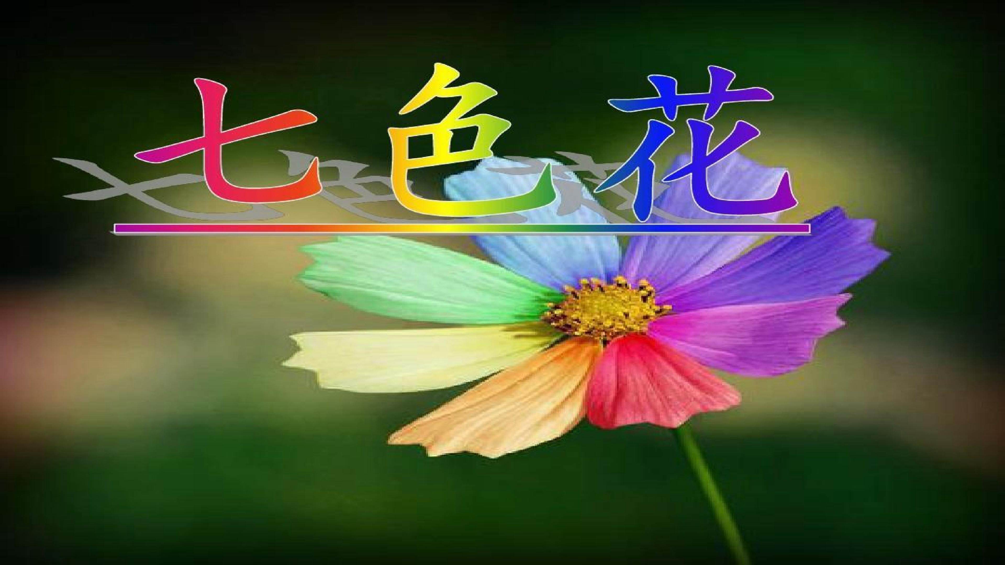 《七色花》