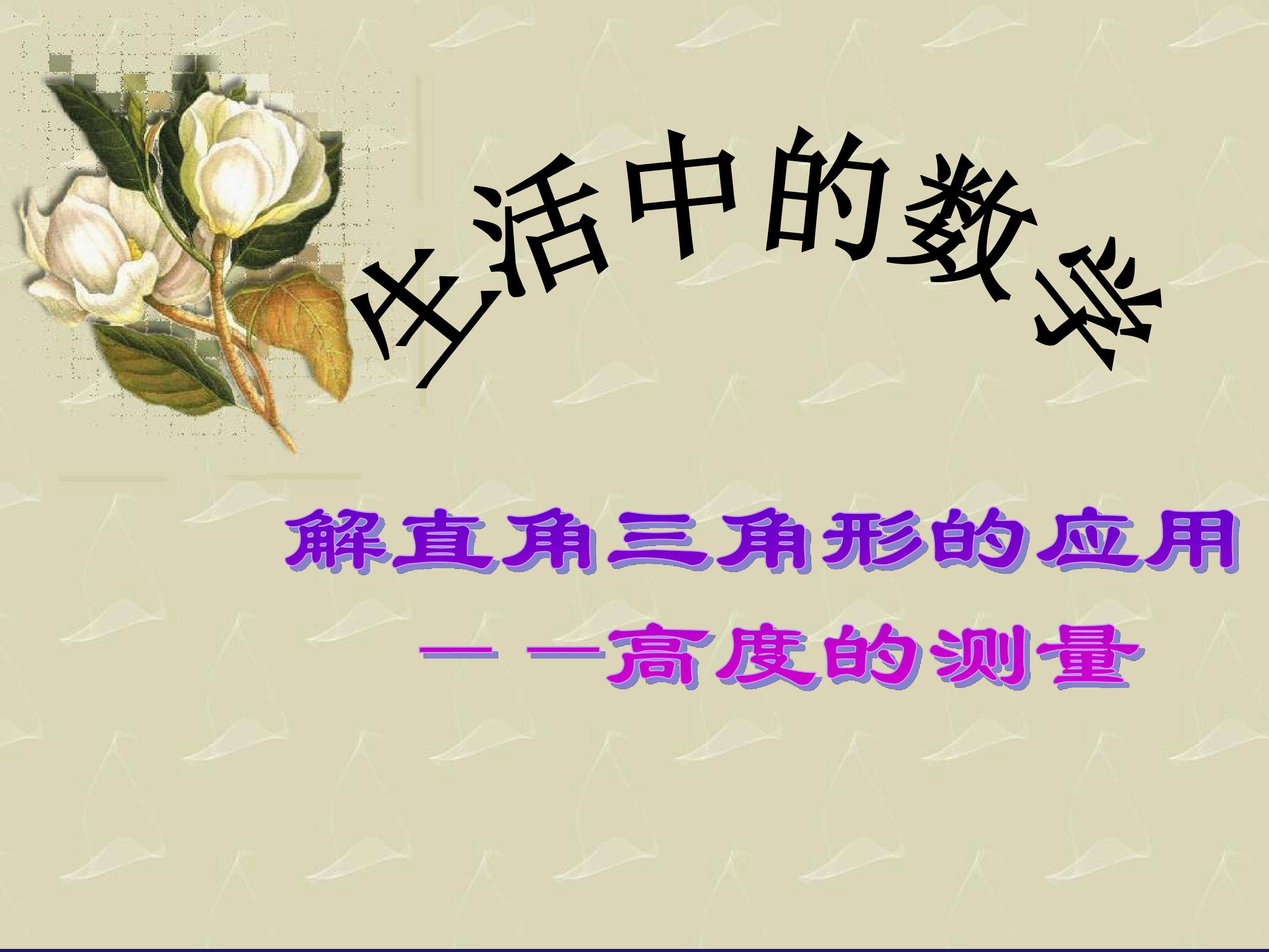 数学活动