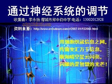 生物高中必修3第二章第一节课件3