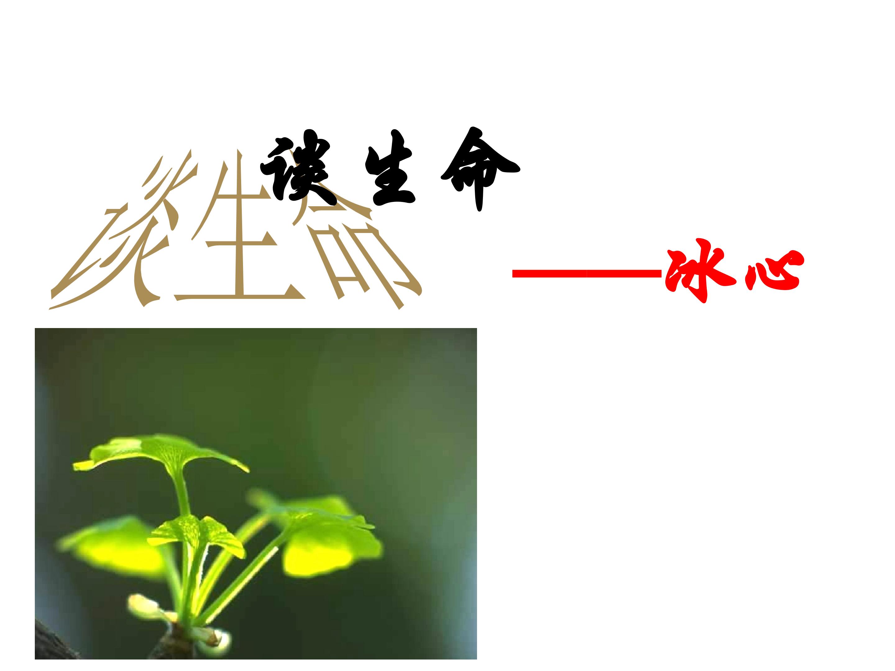 谈生命_课件2