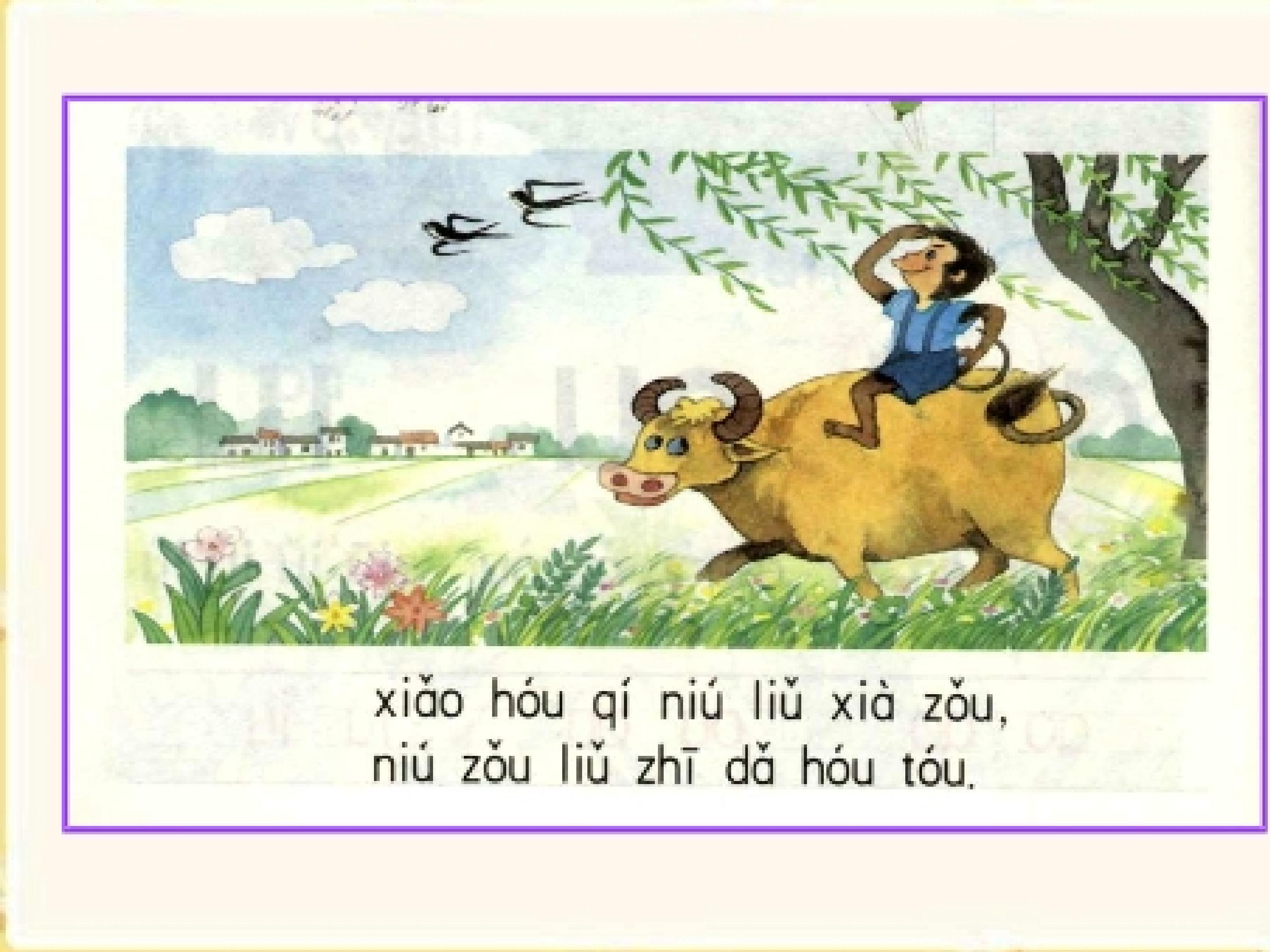 35.jpg