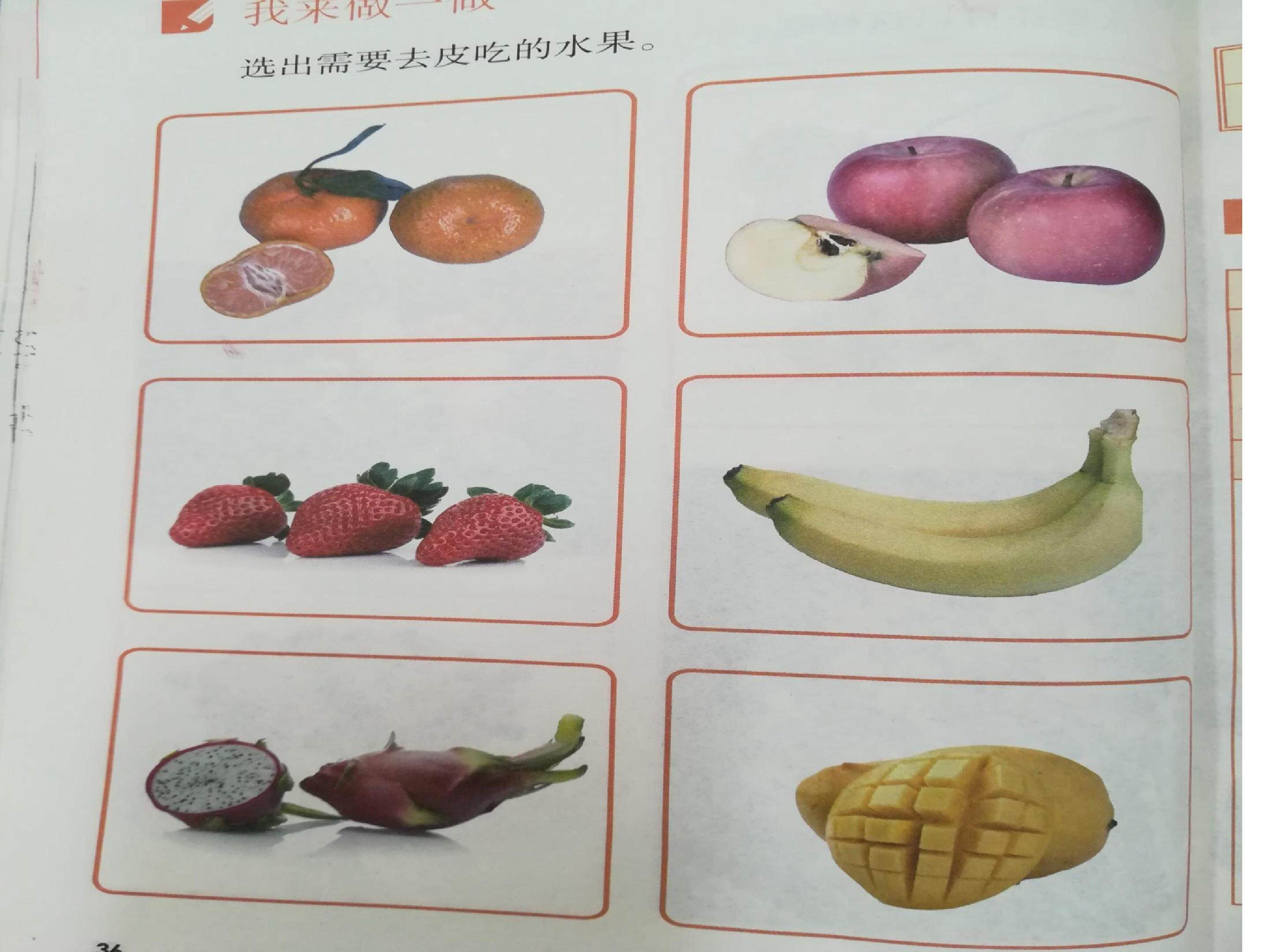 常见的水果