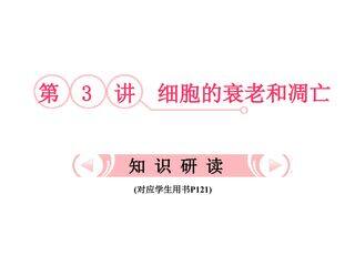 细胞的衰老和凋亡