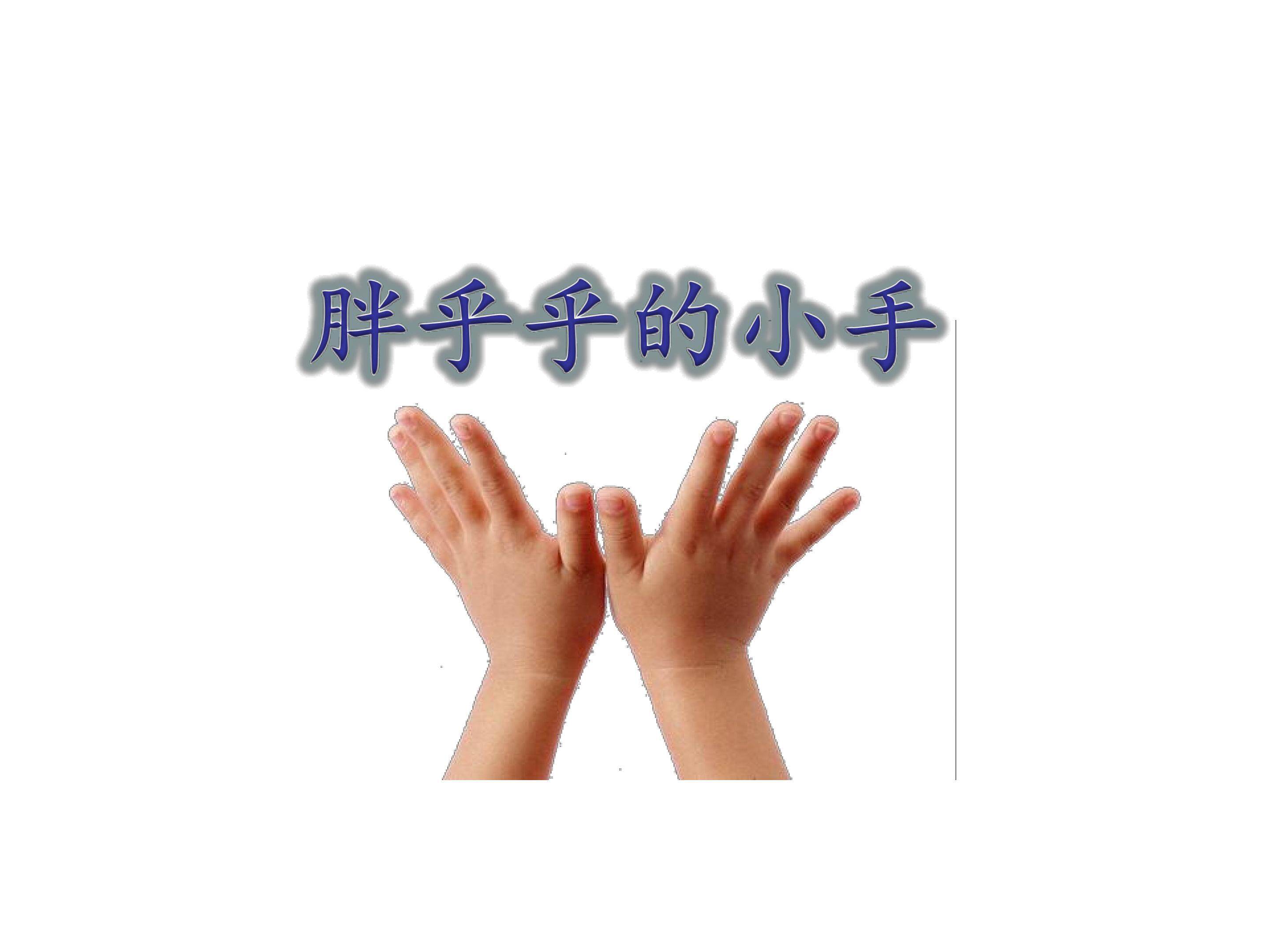 《胖乎乎的小手》的课件