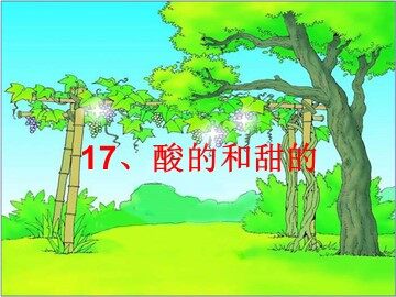 17 酸的和甜的