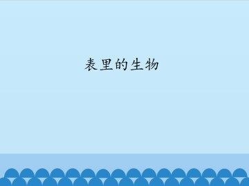 表里的生物_课件1