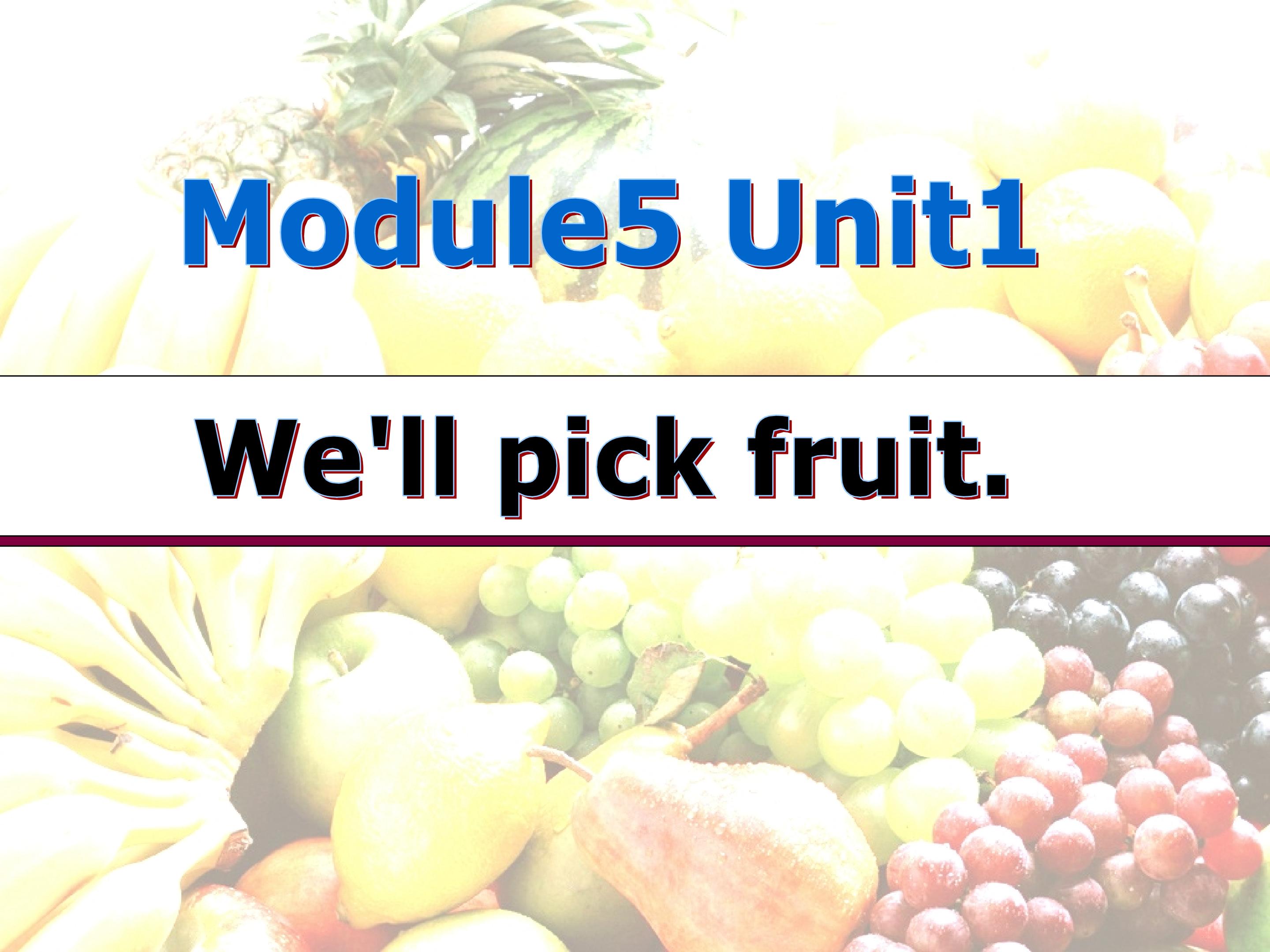 We'll pick fruits.