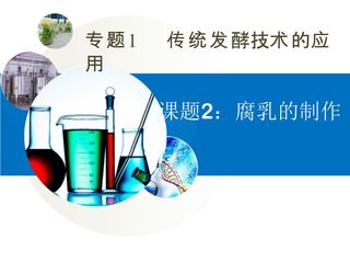 《腐乳的制作》