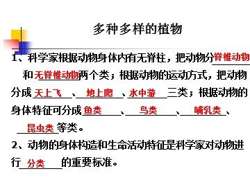 《种类繁多的动物》 (2)