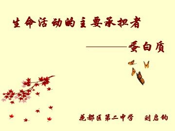 生物高中必修1第二章第二节第一课时课件3