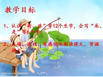 14 荷叶圆圆 
