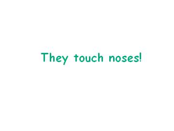 They touch noses!_课件1