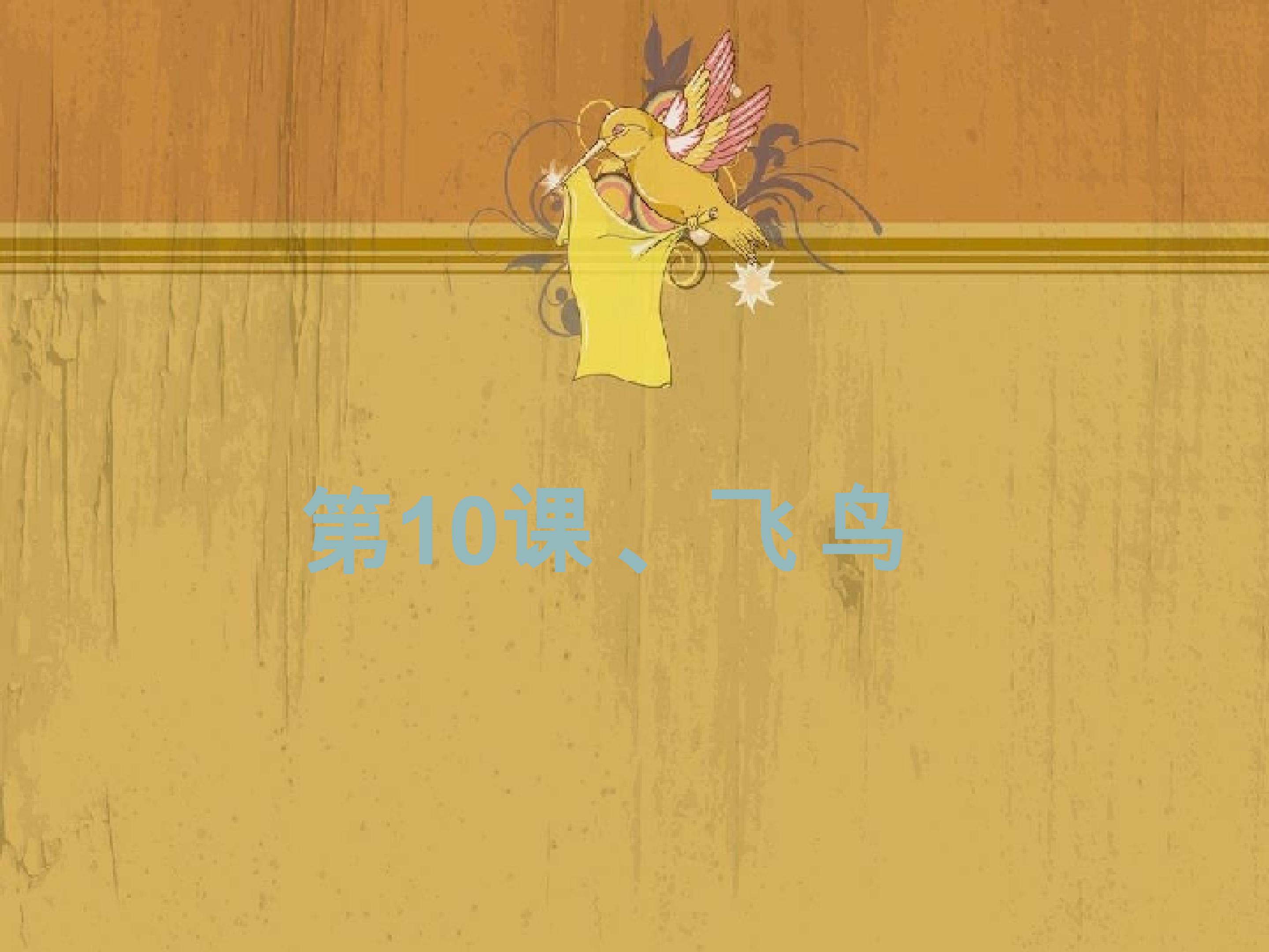 第10课飞鸟