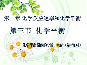 第三节 化学平衡