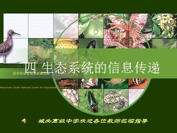 生物高中必修3第五章第四节课件7