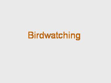 Birdwatching_课件1