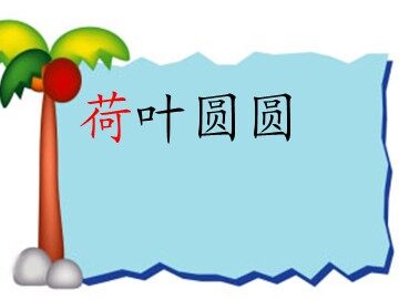 14 荷叶圆圆 