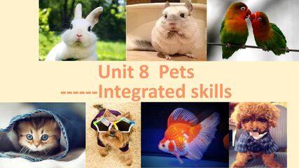 Integrated skills