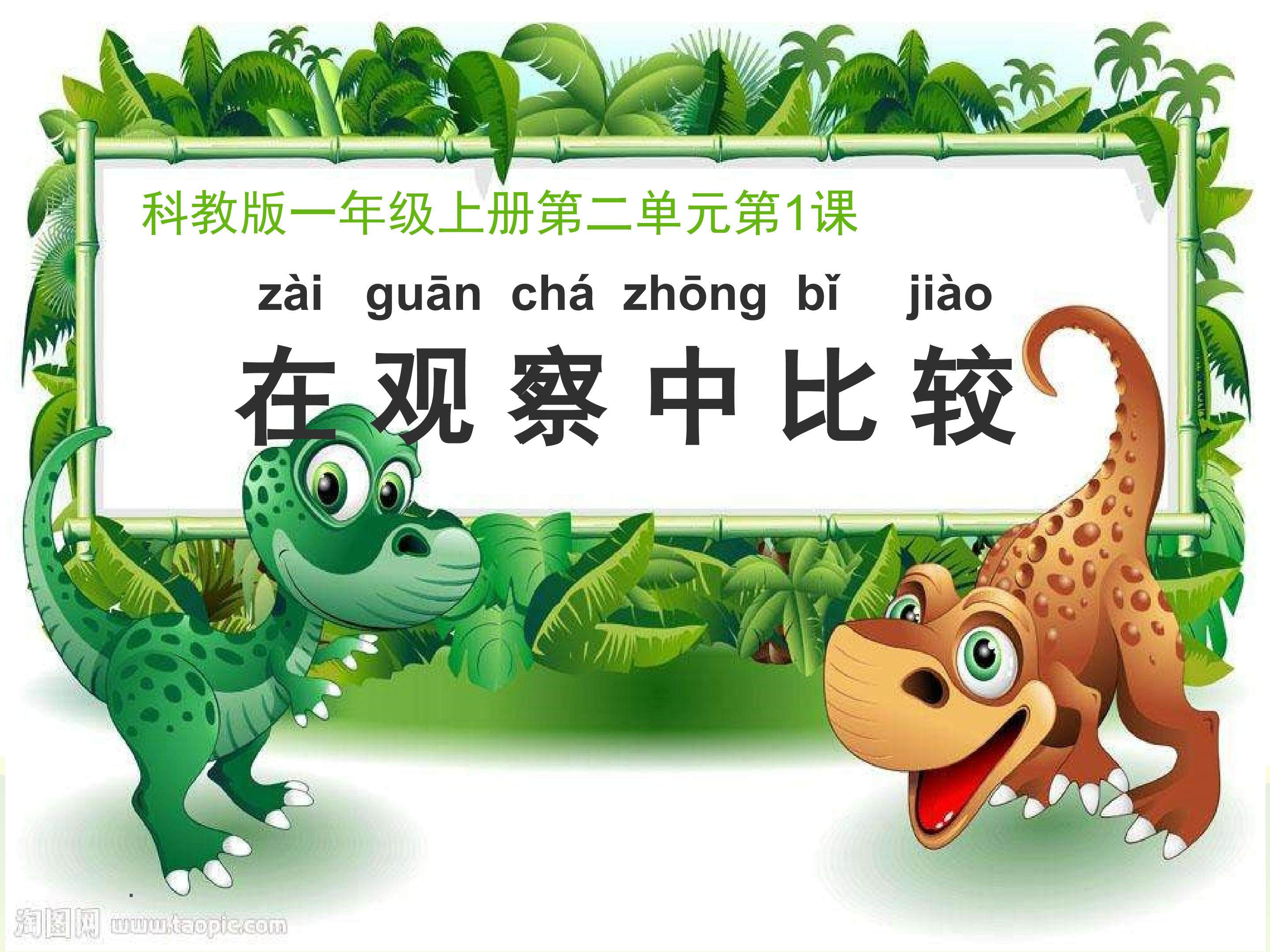 在观察中比较