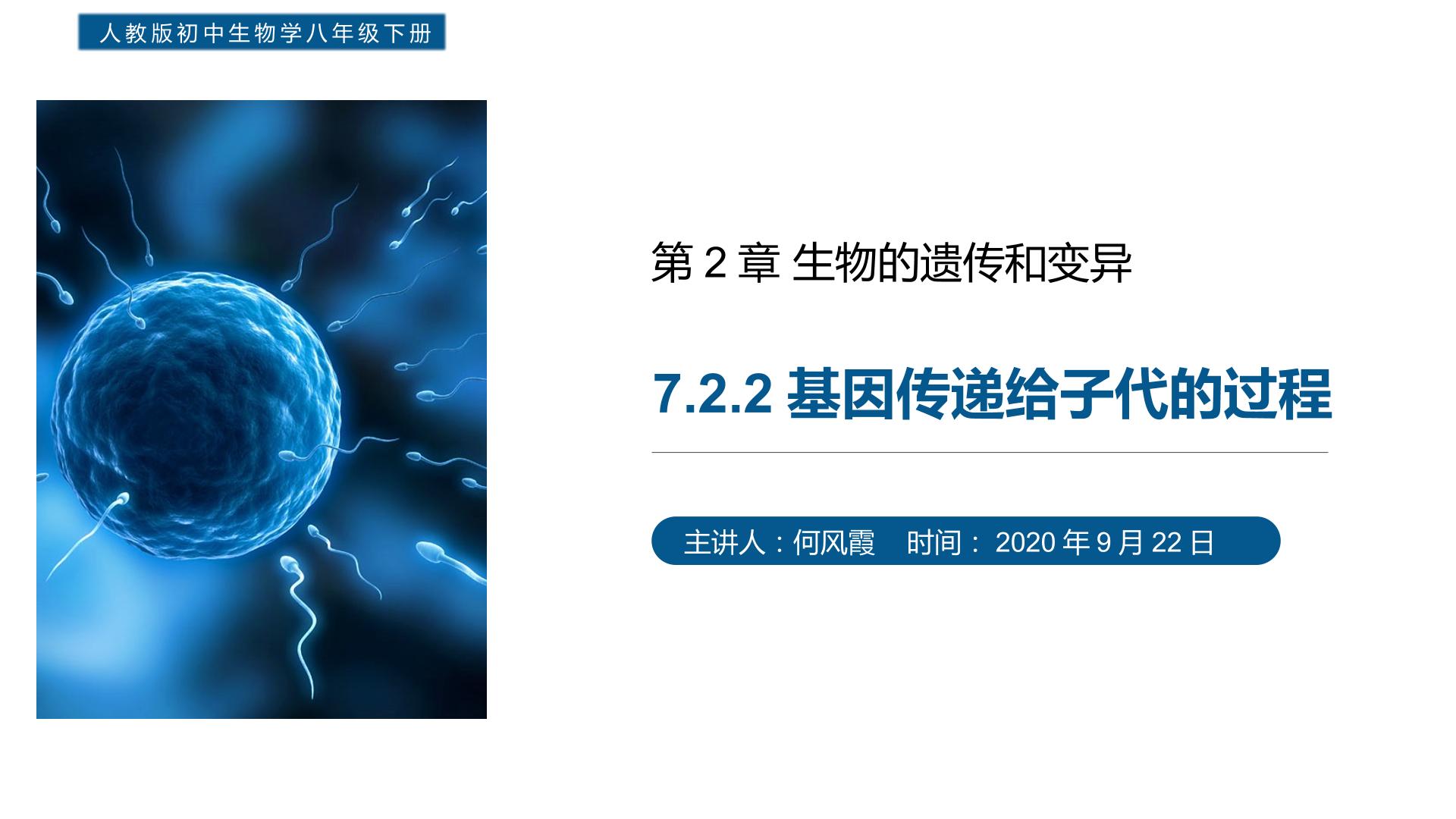 7.2.2 基因传递给子代的过程