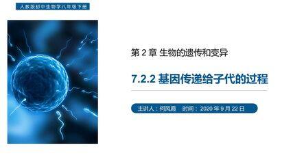 7.2.2 基因传递给子代的过程