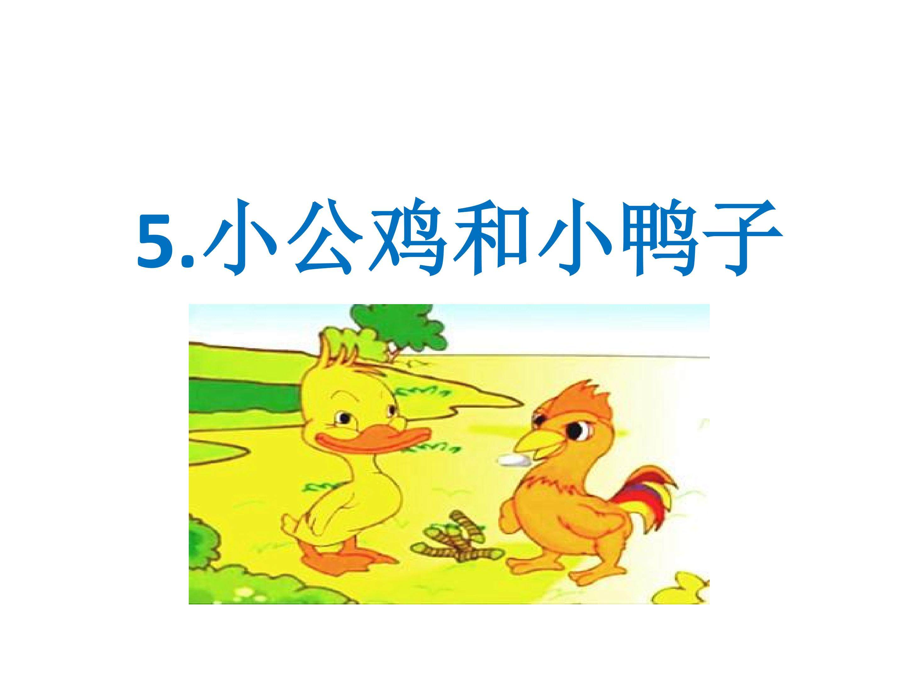 小公鸡和小鸭子
