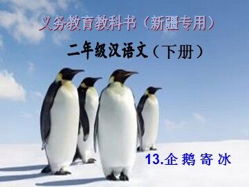 13  企鹅寄冰