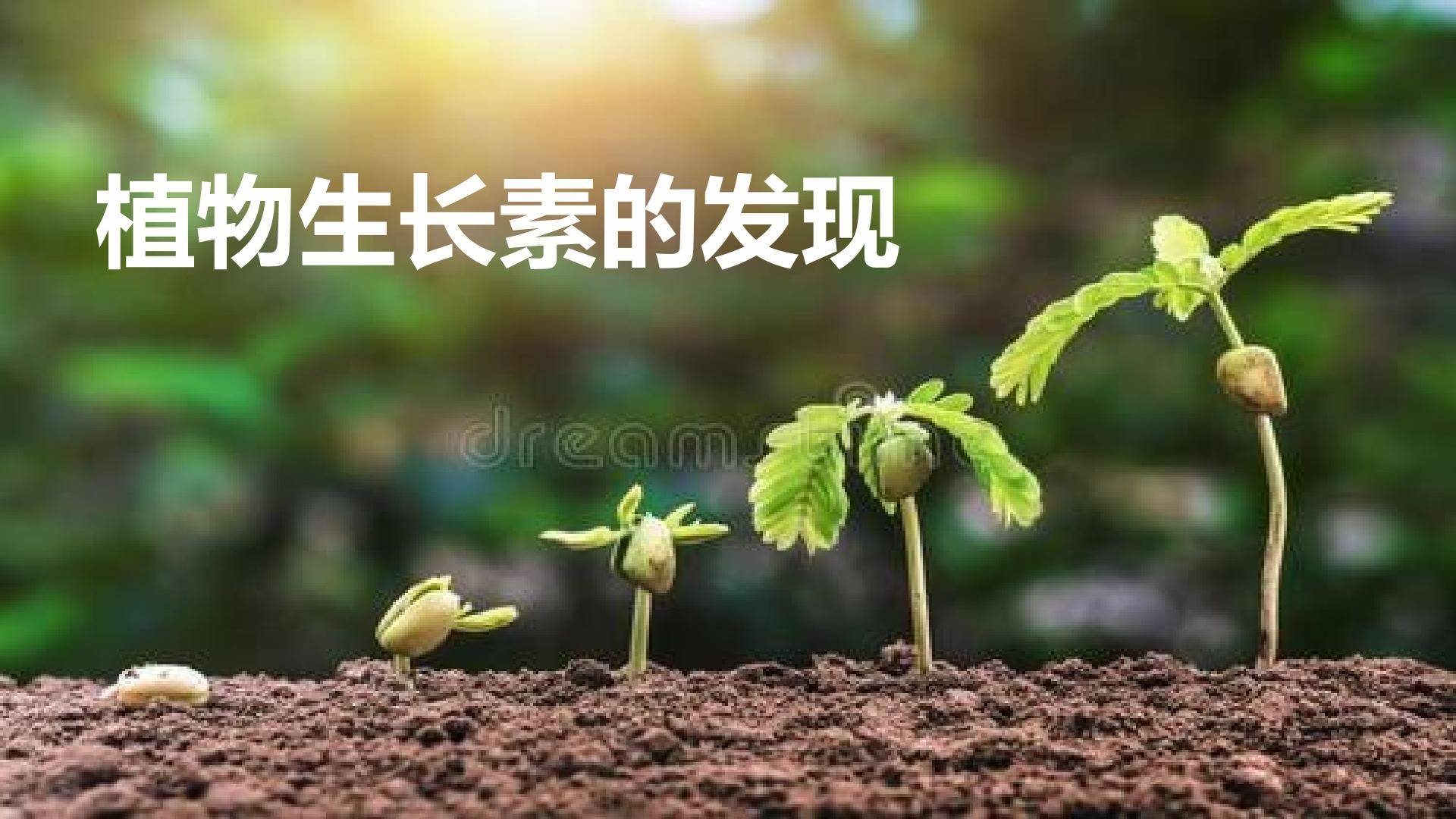 植物生长素的发现