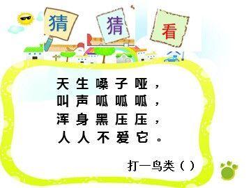 19 乌鸦喝水 