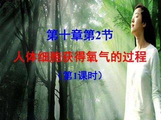 人体细胞获得氧气的过程
