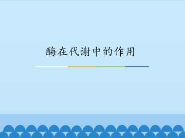 酶在代谢中的作用_课件1