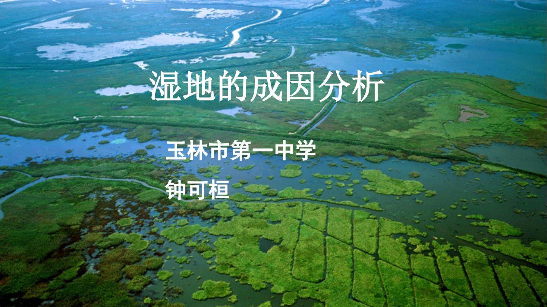 湿地的成因分析
