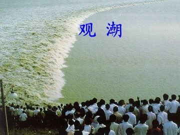 1 观潮