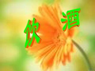 饮酒(其五)_课件4