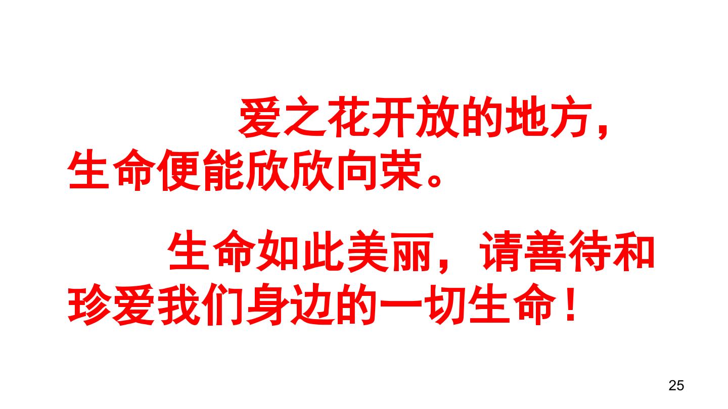 25.jpg