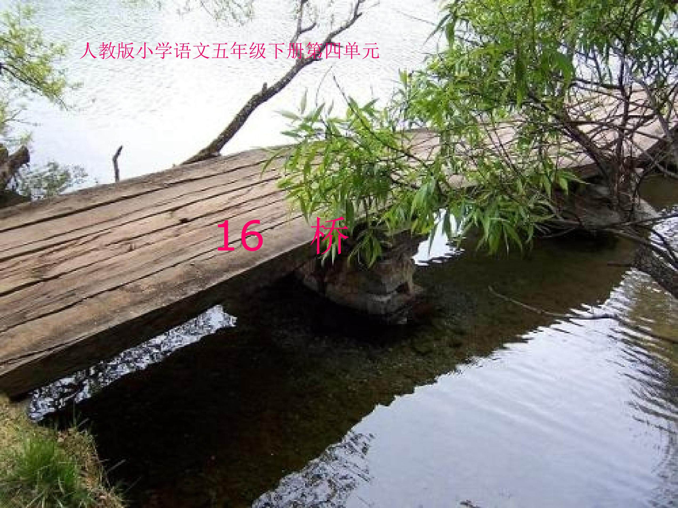 桥