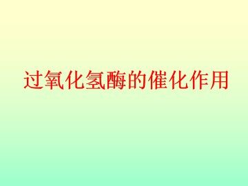 拓展 过氧化氢酶的催化作用_课件1