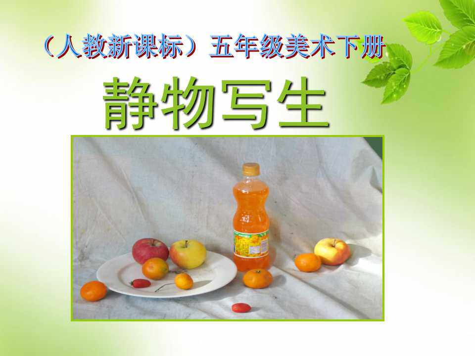 静物写生